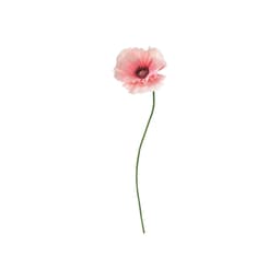 40 Cm Yapay Çiçek - Pembe 40 cm Bitki Türü gelincik