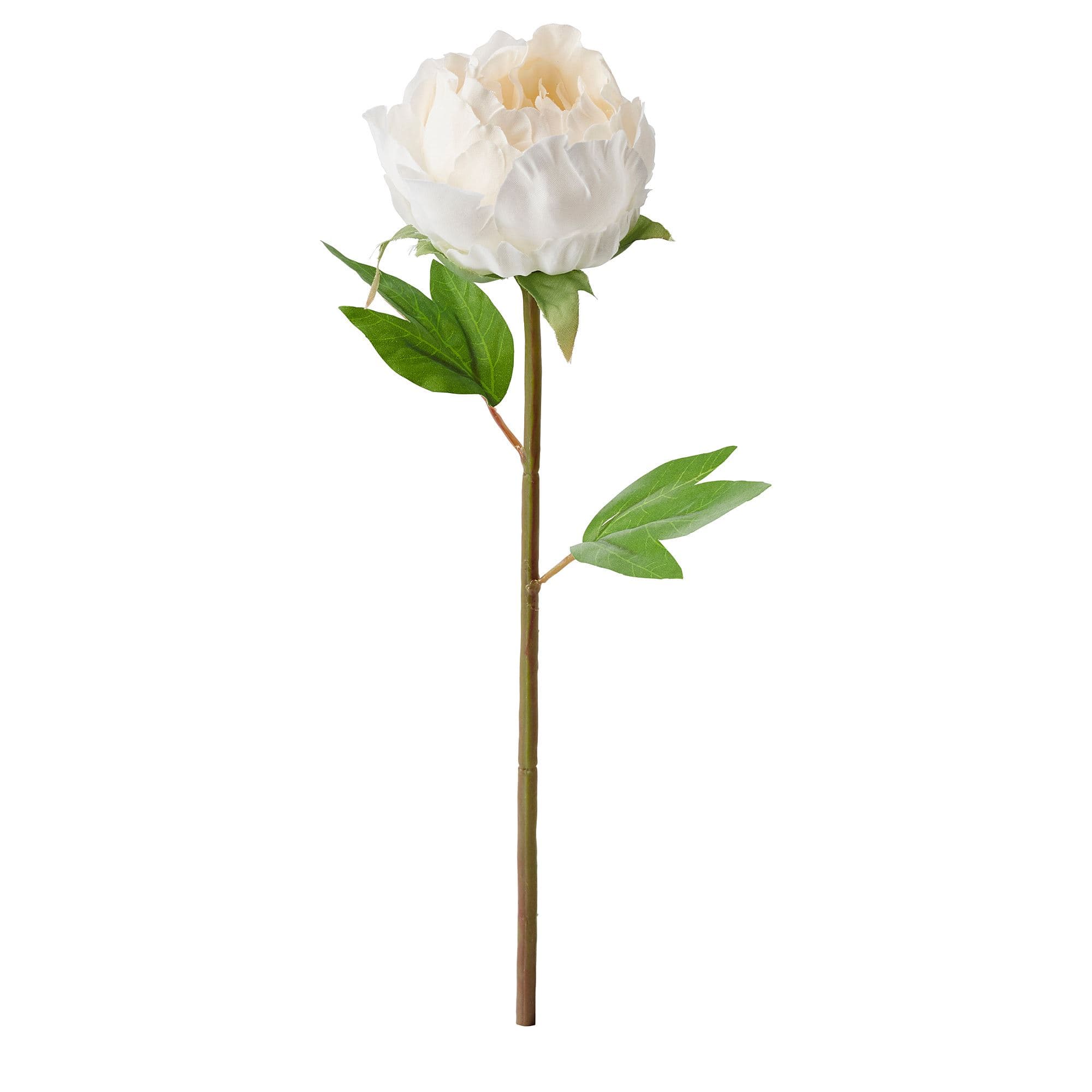 30 Cm Yapay Çiçek - Beyaz 30 cm Bitki Türü şakayık