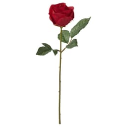 Kırmızı 40 Cm Yapay Çiçek - Kırmızı 40 cm Bitki Türü Yıldız çiçeği Ek Bilgi iç/dış mekan