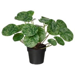 9 Cm Yapay Bitki - Yeşil 9 cm Bitki Türü Pilea Ek Bilgi iç/dış mekan