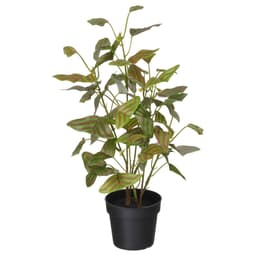 9 Cm Yapay Bitki - Yeşil 9 cm Bitki Türü kelebek çalısı Ek Bilgi iç/dış mekan