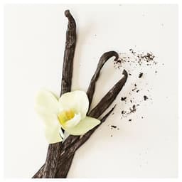 3.5 Saat Kokulu Tealight Mum - Bej 30'lı
